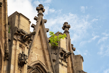 Detail of the gargoyles and architectural structure of the upper part of the Cathedral of Mary...