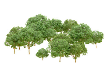 Green forest isolated on transparent background. 3d rendering - illustration