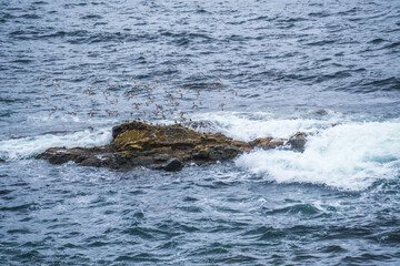 waves crashing on rocks