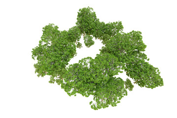 Obraz premium Green forest isolated on transparent background. 3d rendering - illustration
