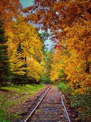 Fototapeta na wymiar Vertical shot of old railroad tracks between the colorful autumn trees
