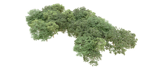 Obraz premium Green forest isolated on transparent background. 3d rendering - illustration