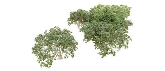 Obraz premium Green forest isolated on transparent background. 3d rendering - illustration