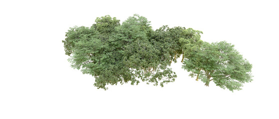 Obraz premium Green forest isolated on transparent background. 3d rendering - illustration