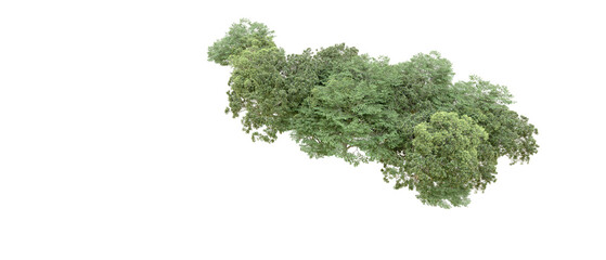 Obraz premium Green forest isolated on transparent background. 3d rendering - illustration