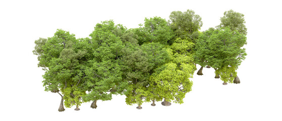 Obraz premium Green forest isolated on transparent background. 3d rendering - illustration