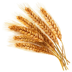 wheat ears isolated on white background, PNG