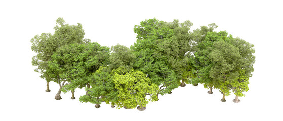 Naklejka premium Green forest isolated on transparent background. 3d rendering - illustration