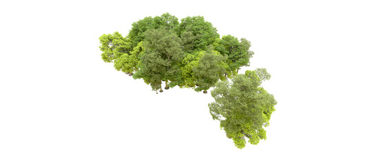 Green forest isolated on transparent background. 3d rendering - illustration