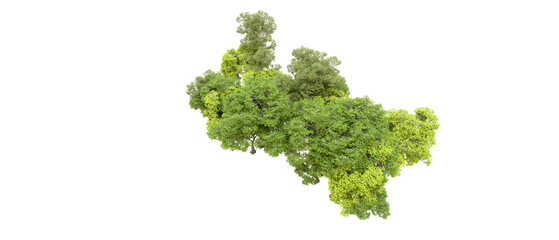 Green forest isolated on transparent background. 3d rendering - illustration