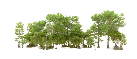 Green forest isolated on transparent background. 3d rendering - illustration