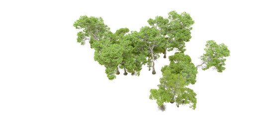 Green forest isolated on transparent background. 3d rendering - illustration