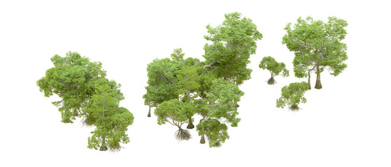 Green forest isolated on transparent background. 3d rendering - illustration