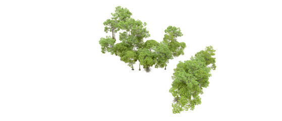 Naklejka premium Green forest isolated on transparent background. 3d rendering - illustration