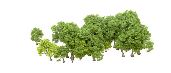 Green forest isolated on transparent background. 3d rendering - illustration