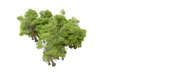 Obraz premium Green forest isolated on transparent background. 3d rendering - illustration