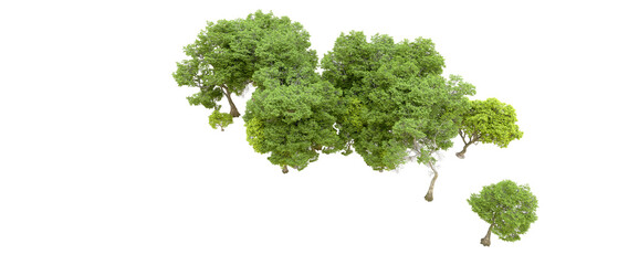 Green forest isolated on transparent background. 3d rendering - illustration