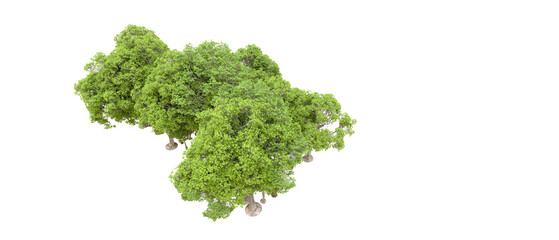 Obraz premium Green forest isolated on transparent background. 3d rendering - illustration