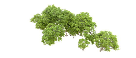 Obraz premium Green forest isolated on transparent background. 3d rendering - illustration