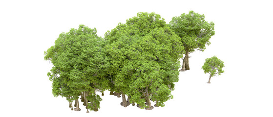 Green forest isolated on transparent background. 3d rendering - illustration