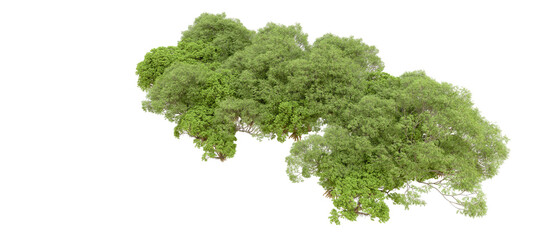 Fototapeta premium Green forest isolated on transparent background. 3d rendering - illustration