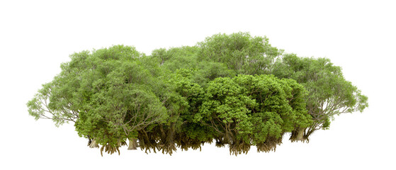 Obraz premium Green forest isolated on transparent background. 3d rendering - illustration