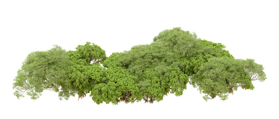 Fototapeta premium Green forest isolated on transparent background. 3d rendering - illustration