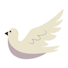 Fototapeta na wymiar world peace day dove symbol
