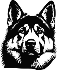 Cute American Akita dog, illustration, vector on white background