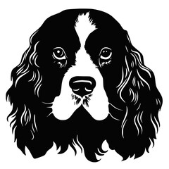 Cute Cocker Spaniel dog, illustration, vector on white background