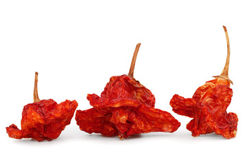 dried chilies of capsicum baccatum or Christmas bell chili pepper isolated on white background