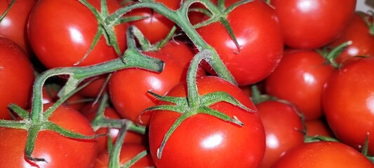 Tomatoes