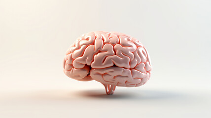 Human brain anatomical illustration. Artificial intelligence. Mindfulness and psychological health concept