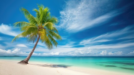 Fototapeta na wymiar Beautiful palm tree on tropical island beach on background blue sky with white clouds and turquoise ocean on sunny day