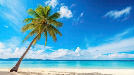 Beautiful palm tree on tropical island beach on background blue sky with white clouds and turquoise ocean on sunny day - obrazy, fototapety, plakaty