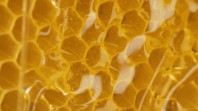 Macro honeycomb with pure golden honey elixir flow. Healthy natural sweet nectar