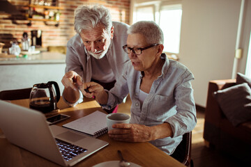 Fototapeta na wymiar Senior couple pointing at laptop screen together at home