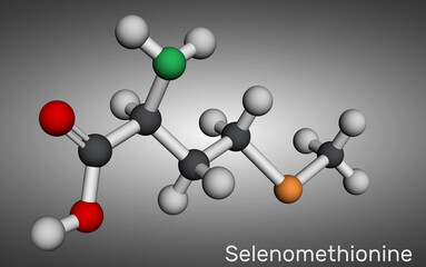 Selenomethionine molecule. It is naturally occurring amino acid. Structural chemical formula and molecule model. Molecular model. 3D rendering