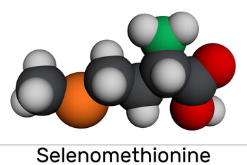 Selenomethionine molecule. It is naturally occurring amino acid. Structural chemical formula and molecule model. Molecular model. 3D rendering
