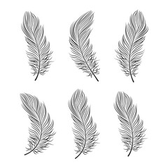 Obraz premium Set of contour bird feathers on a white background, line art. Decor elements, vector