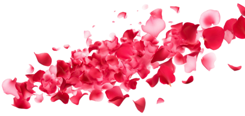 Dance of floating pink petals in the air, cut out