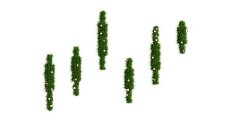 Japanese forex market candlesticks made of green grass with flowers isolated on a white background, stock growth chart of sprouts, 3d rendering