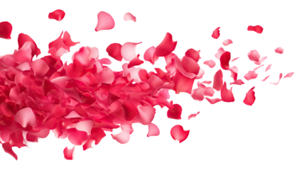 Dance of floating pink petals in the air, cut out