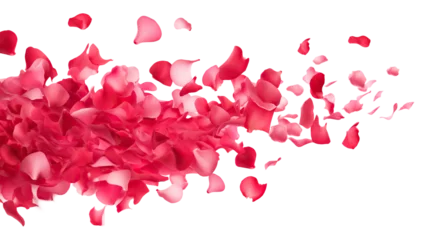 Poster Dance of floating pink petals in the air, cut out © Yeti Studio