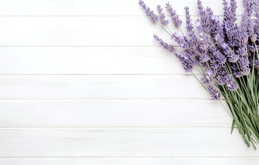 fresh lavender flowers and herbs on white wooden table background
