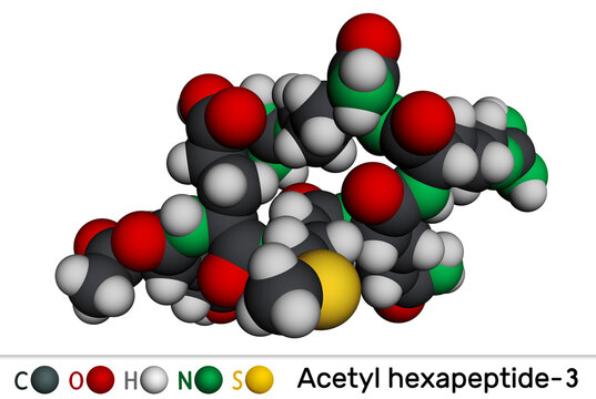 Acetyl hexapeptide-3, acetyl hexapeptide-8, argireline molecule. Peptide, fragment of SNAP-25, a substrate of botulinum toxin. Molecular model. 3D rendering