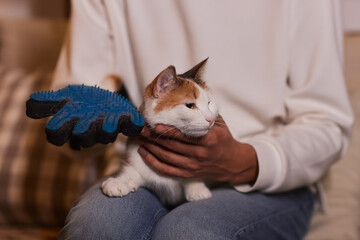 A man combs the cat's fur with a special glove and comb.