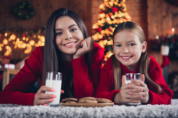 Photo of cute pretty little siblings dressed red sweaters enjoying eggnog eating chocolate cookies indoors christmas apartment home