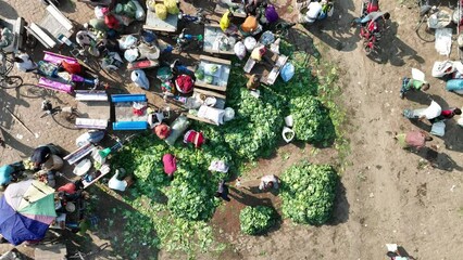 An aerial view of a wholesale vegetables market, showcasing the vibrant colors and bustling activity of this essential food supply hub. Mohastan bazar, Bogura, Bangladesh