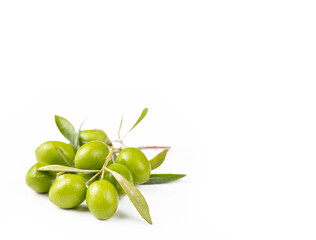 Fototapeta na wymiar Green olive on the white background